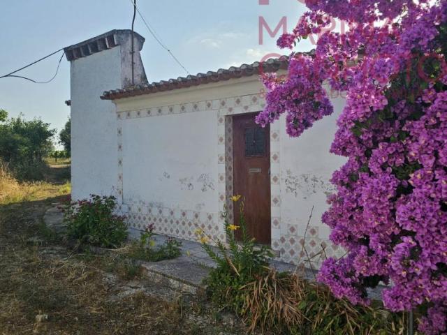 2 quarto, Estremoz Évora LS92185739