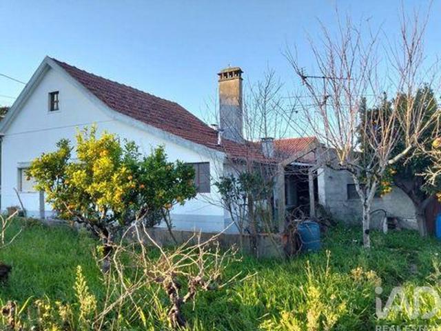2 quarto, Ferreira Do Zezere Santarem 100265611