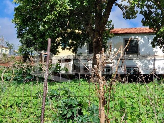 2 quarto, Funchal Funchal 99470226
