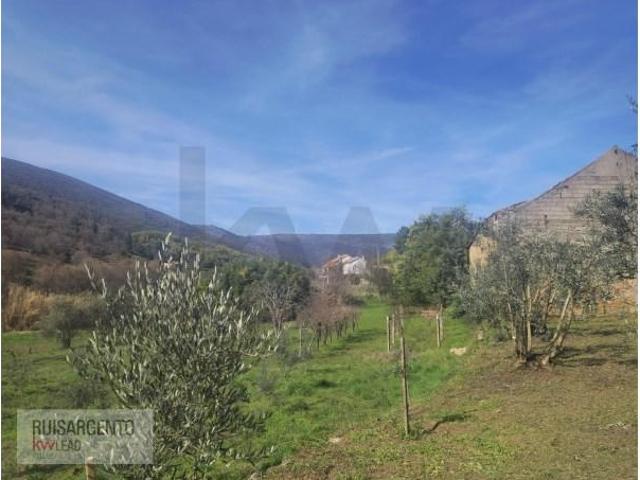 2 quarto, Guarda Guarda 101065010
