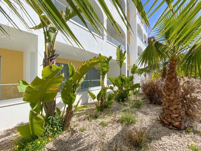 2 quarto, Lagos Algarve LS67572661