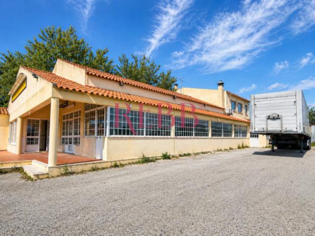 2 quarto, Leiria Óbidos 2510 LS101826826