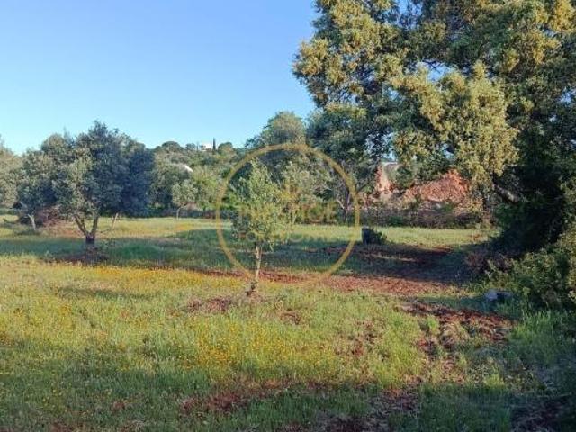 2 quarto, Loulé Algarve 101561289