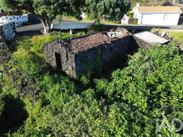 2 quarto, Madalena Madalena 101166313