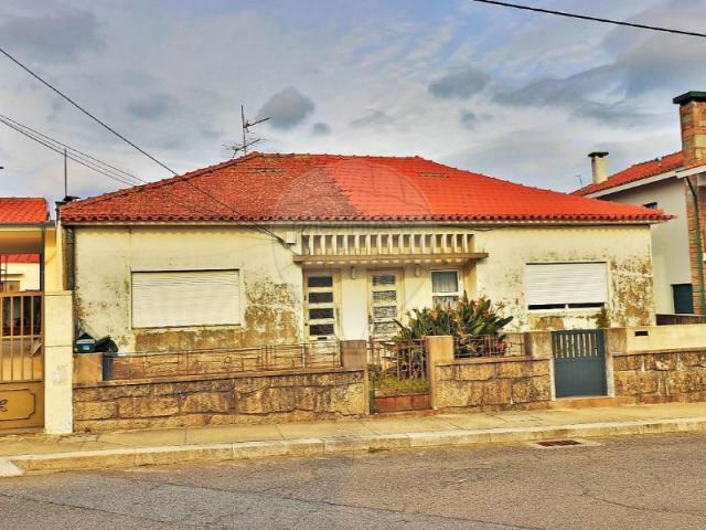 2 quarto, Maia Maia 87833879
