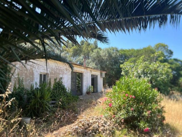 2 quarto, Mexilhoeira Grande Algarve 103324911