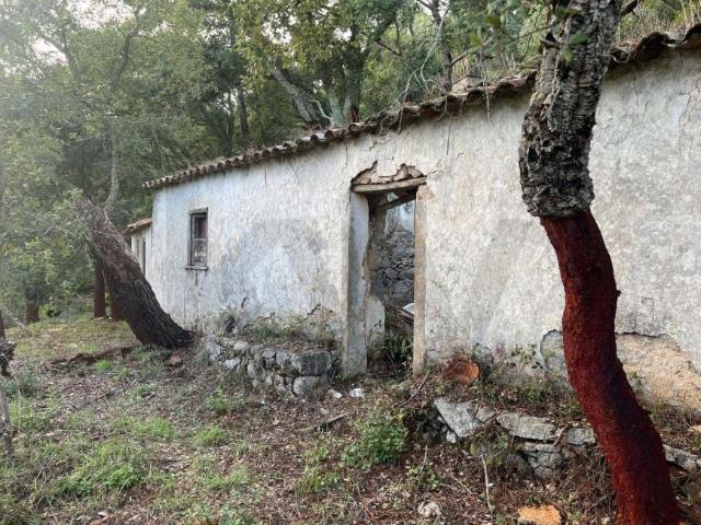 2 quarto, Monchique Algarve 97441556