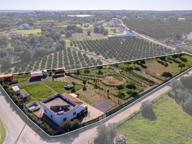 2 quarto, Olhão Algarve LS98536997