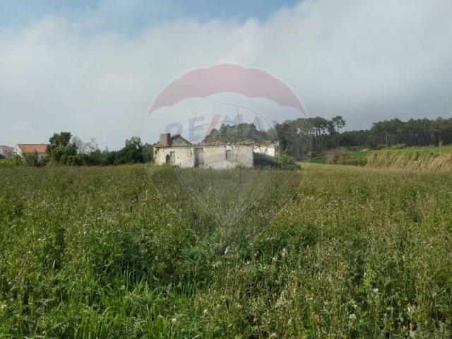 2 quarto, Peniche Peniche 91852389