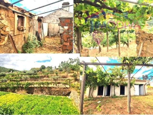 2 quarto, Pedrógão Grande Pedrógão Grande 104964730