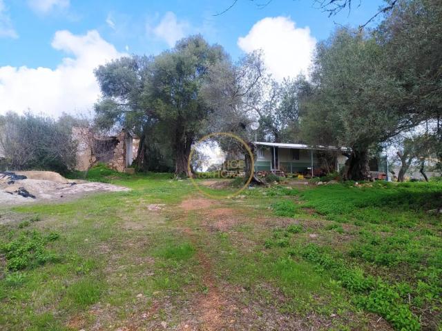 2 quarto, Querença Algarve LS99726970