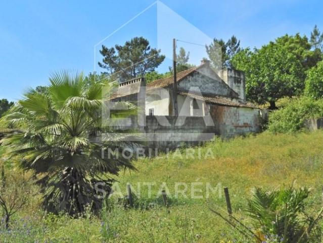 2 quarto, Santarém Santarém 98295452