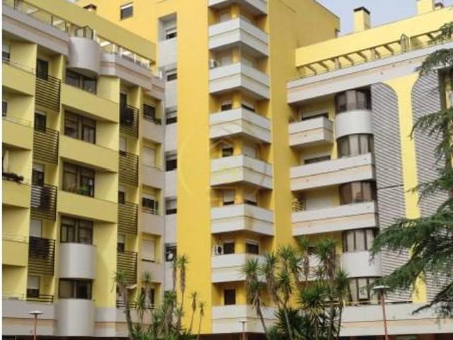 2 quarto, Santarém Santarém 102958591
