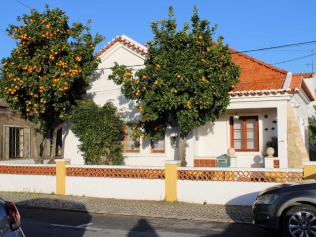 2 quarto, Santiago do Cacém Santiago do Cacém 87077243