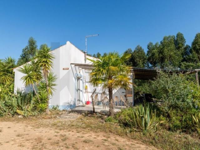 11 quarto, Santiago do Cacém Santiago do Cacém 103384736