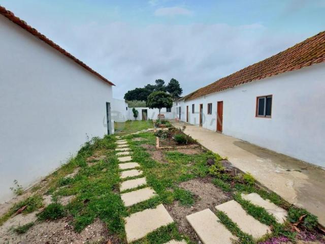 2 quarto, Setúbal Palmela 2965 102271210
