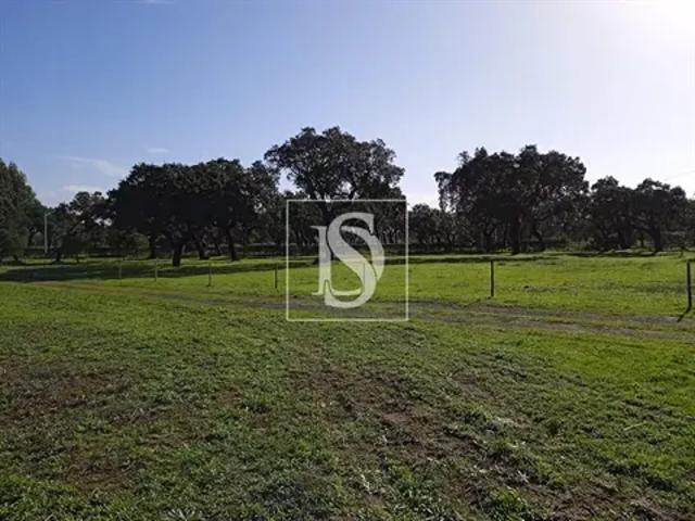 2 quarto, Setúbal Santiago do Cacém 103554295