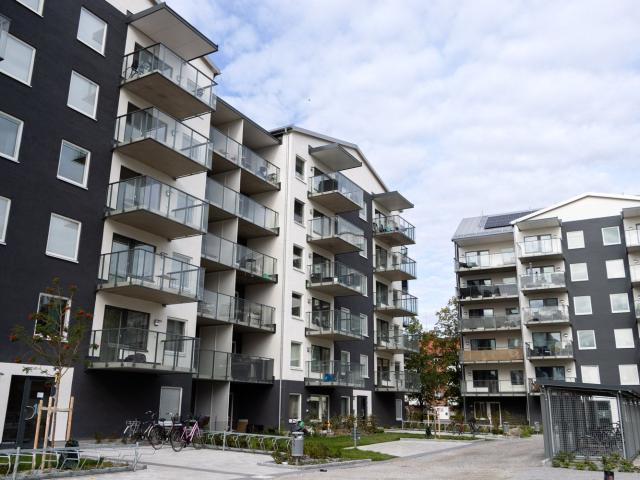 2 rum och kök 33 m² 8 229 kr