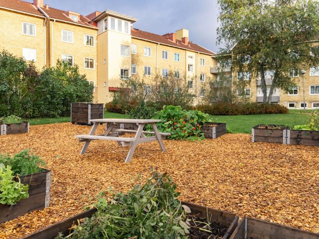 2 rums lägenhet i Uddevalla 55 m² 6 024 kr