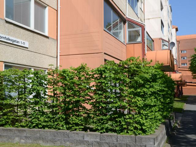 2 rums lägenhet i Jönköping 63 m² 6 690 kr