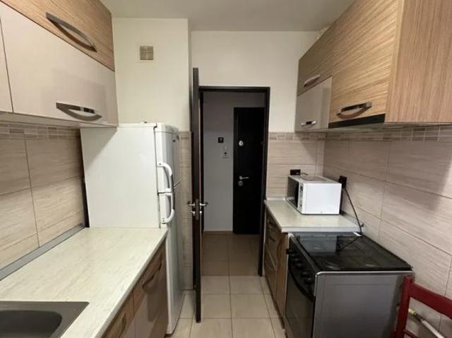 2 room apartment for rent Podu Roș Palas