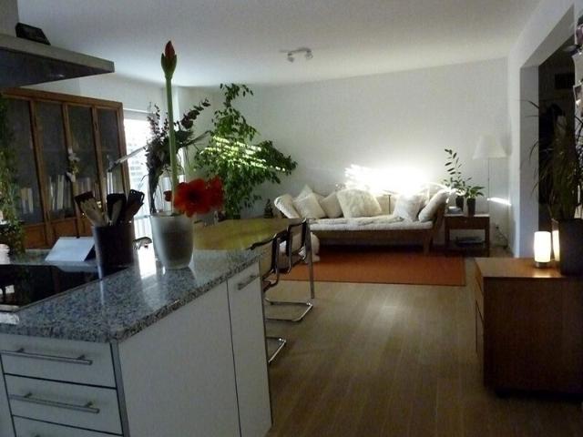 2 ROOM APARTMENT IN BASEL ALTSTADT/GROSSBASEL, FURNISHED, TEMPORARY