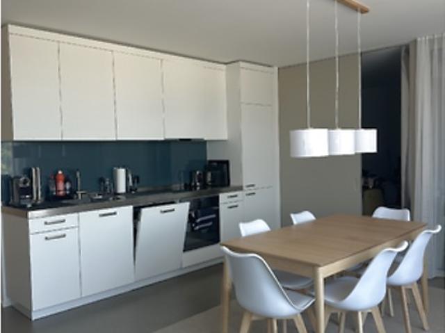 2½ room apartment in Basel Gundeldingen, furnished, temporary