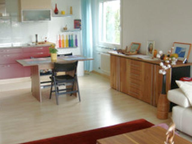 2½ room apartment in Luzern, furnished, temporary