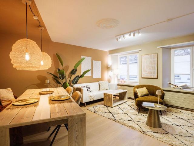 2 ROOM APARTMENT IN STECKBORN TG, FURNISHED