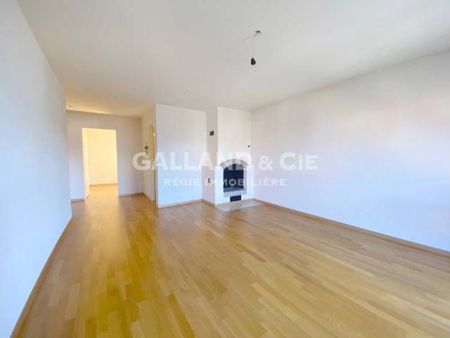 2 room apartment with fireplace and balcony