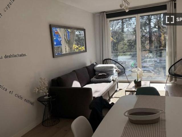 2 room luxury Apartment for rent in Madrid, Autonomous Region of Madrid