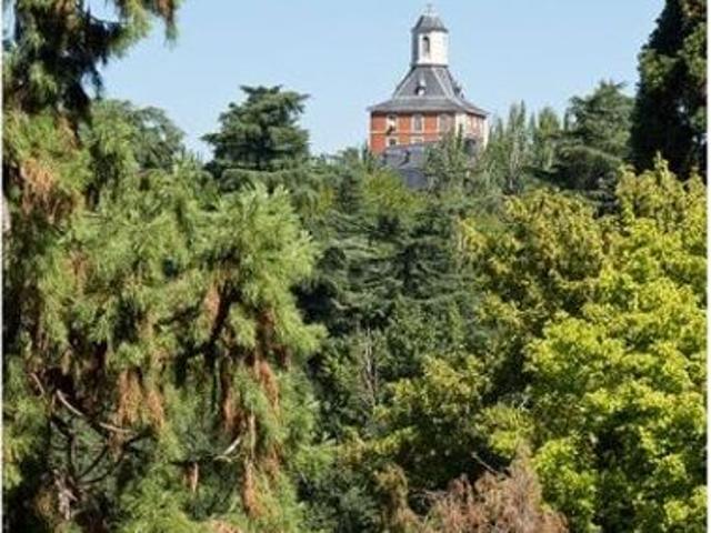 2 room luxury Flat for rent in Madrid, Spain
