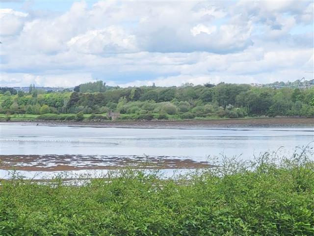 2 Ronayn's Court, Rochestown, Cork Global Properties Cork & Ballincollig 4997 MyHome. Ie Residential