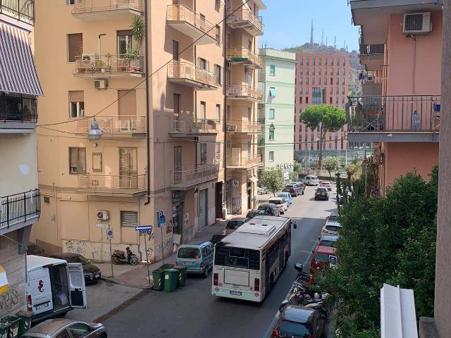 2 stanze in affitto
