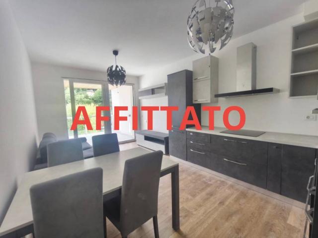 2 stanze in affitto