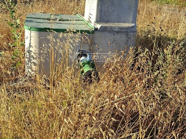 2 s rústicos com olival totalizando uma área com 17500 m2 situados perto de Ferreira do Alentejo, Ferreira do Alentejo, Rato