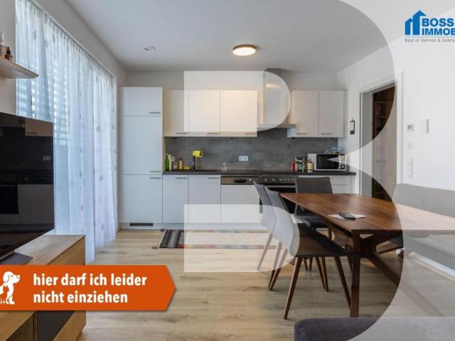 2 Schlafzimmer Wohnung Oberösterreich Oberösterreich 104508030