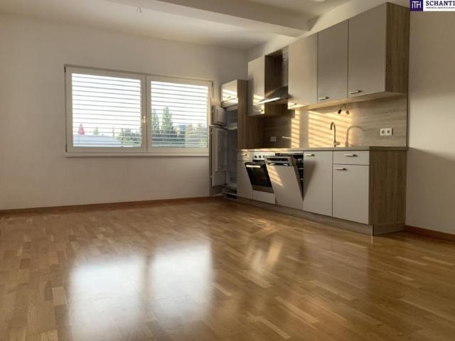 2 Schlafzimmer Wohnung Steiermark Steiermark LS102856019