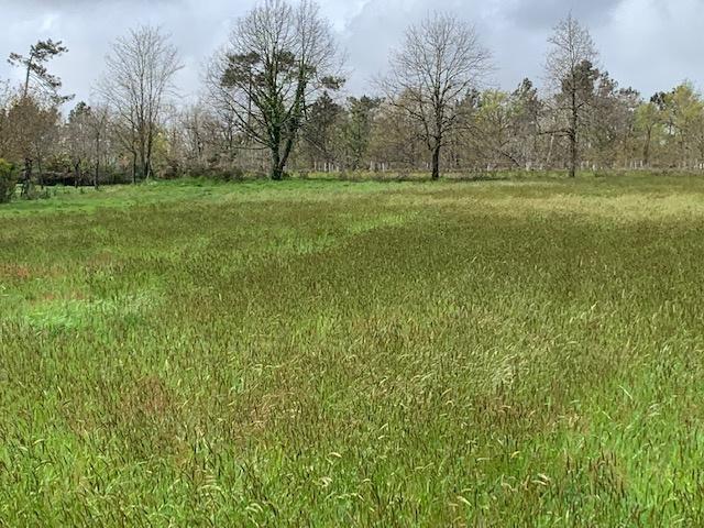 2 Terrains à bâtir contigus, 1030 m2 chacun, bornés, viabili