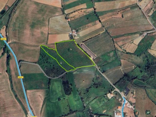 2 Terrenos com casinha urbana