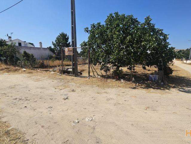 2 Terrenos em Zona Central Pinhal das Formas | 26084093616