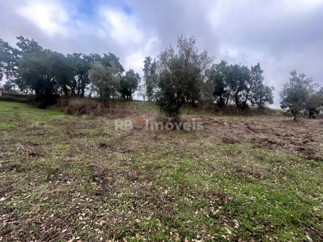 2 terrenos rústicos com 7160m2 Aboboreira Fundeira, Tomar