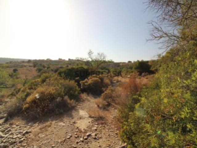 2 Terrenos Rústicos de bons acesos e vista campo, Estoi