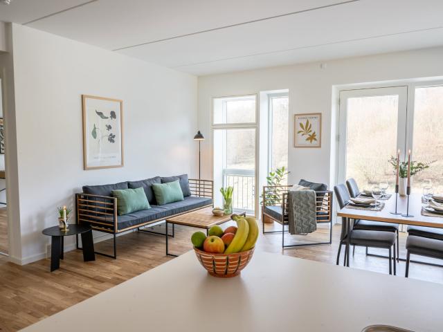 2 værelses hus i Odense SV