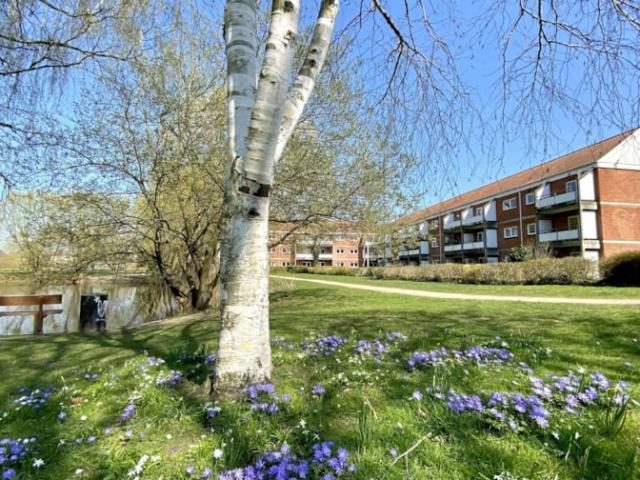 2 værelses lejlighed Nørrevænget, 5000 Odense C