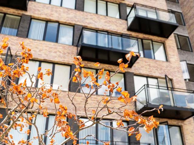 2 værelses lejlighed på 77 m²