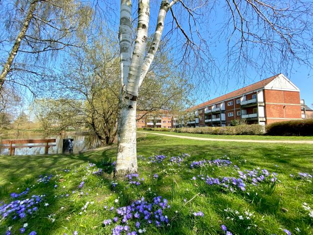 2 vaerelses 73 m2 i Odense C