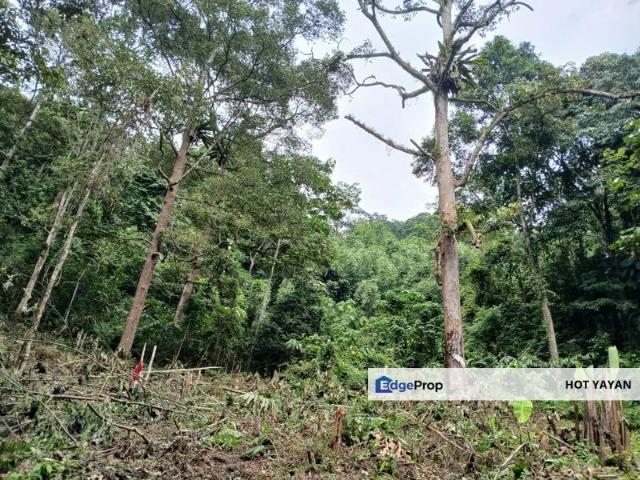 2 x 4.5 Ekar Tanah Pertanian Batu 19 Hulu Langat