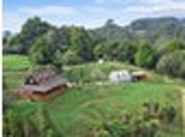 2 x Lifestyle blocks with 3 Ha and 4 Ha Waihi