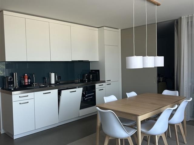 2½ ZI WOHNUNG IN BASEL GUNDELDINGEN, MÖBLIERT, TEMPORÄR